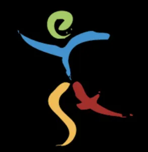 Ethnic Youth Support Team