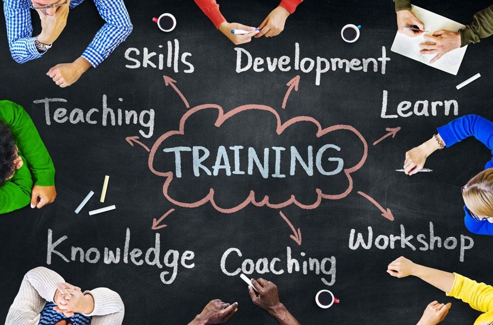 Beyond Skills: Building Resilient Nonprofits Through Tailored Learning