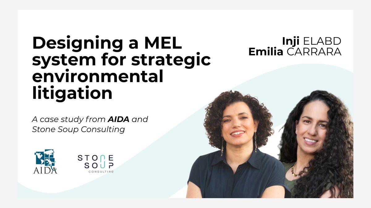 When the map doesn't fit the territory: designing a MEL system for strategic environmental litigation