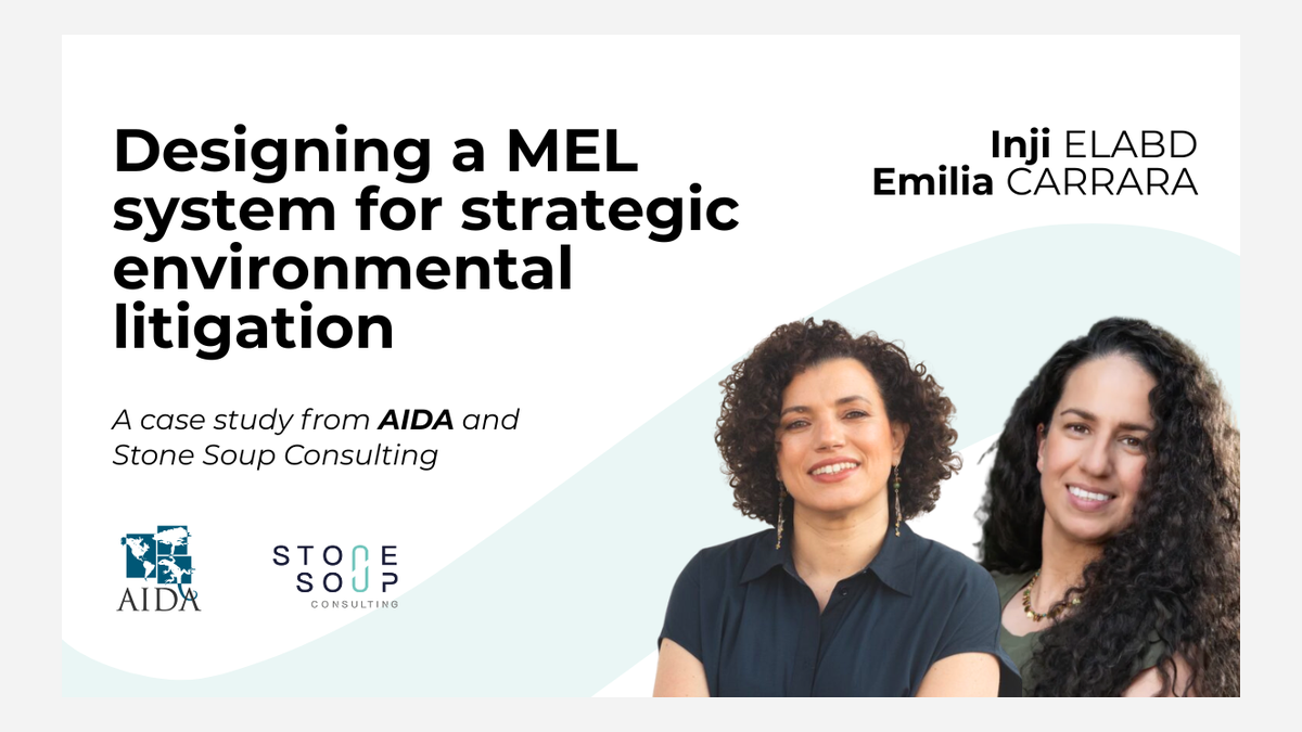 When the map doesn't fit the territory: designing a MEL system for strategic environmental litigation